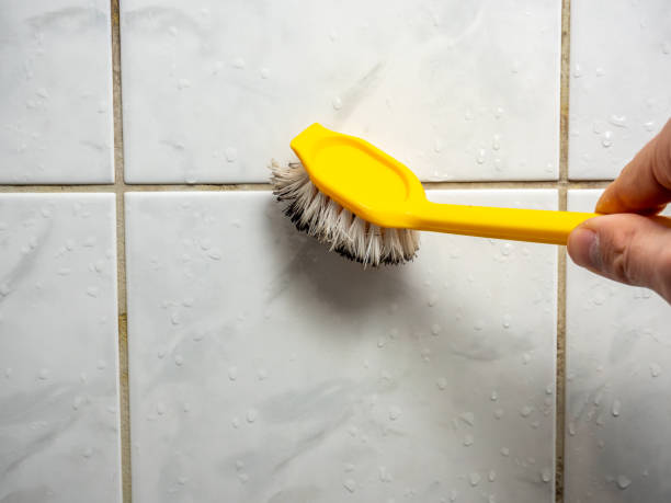 Best Mold Testing  in Marvin, NC