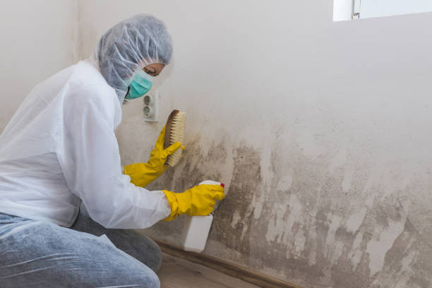 Best Mold Damage Repair  in Marvin, NC