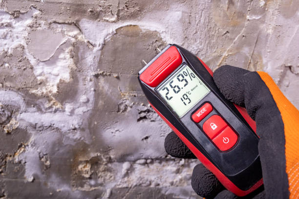 Best Certified Mold Removal  in Marvin, NC