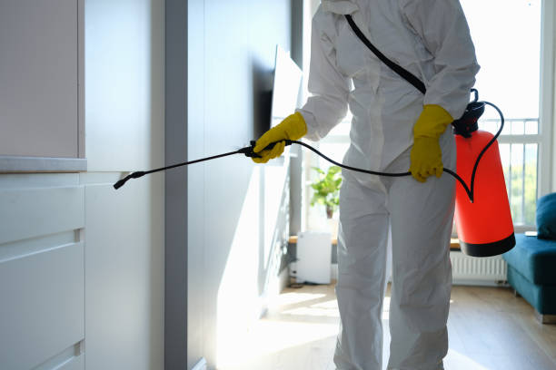 Best Home Mold Removal  in Marvin, NC