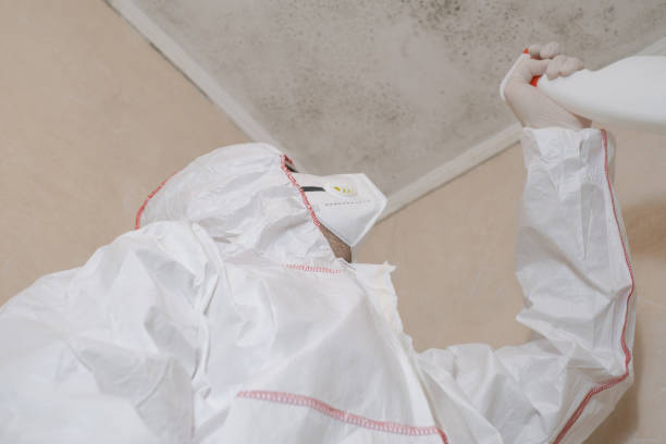 Crawl Space Mold Removal in Marvin, NC