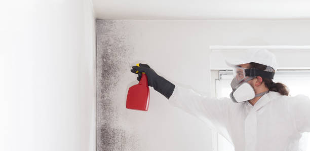 Water Damage Restoration in Marvin, NC