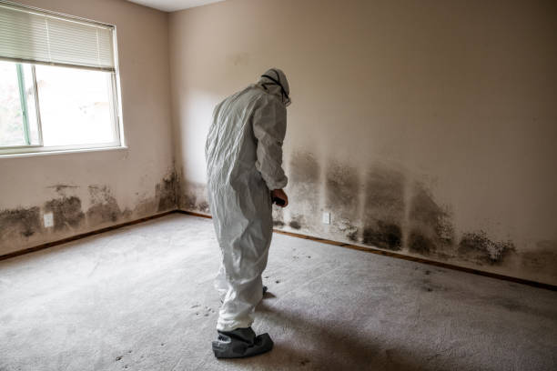 Best Local Mold Removal Service  in Marvin, NC