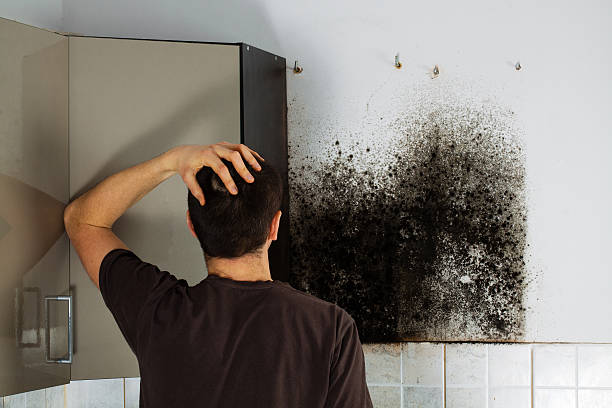 Trusted Marvin, NC Mold Removal Experts