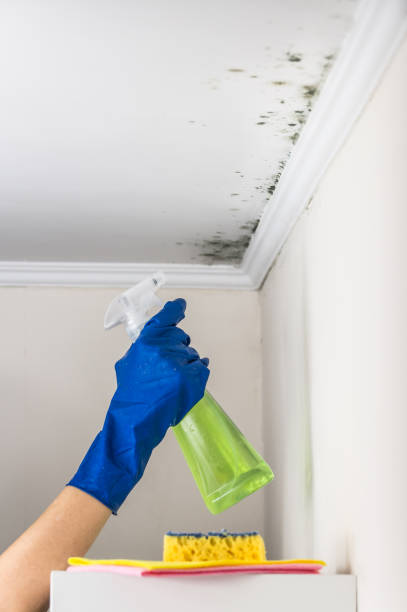 Best Attic Mold Removal  in Marvin, NC